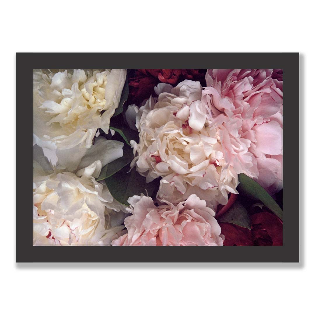 Peony Print One