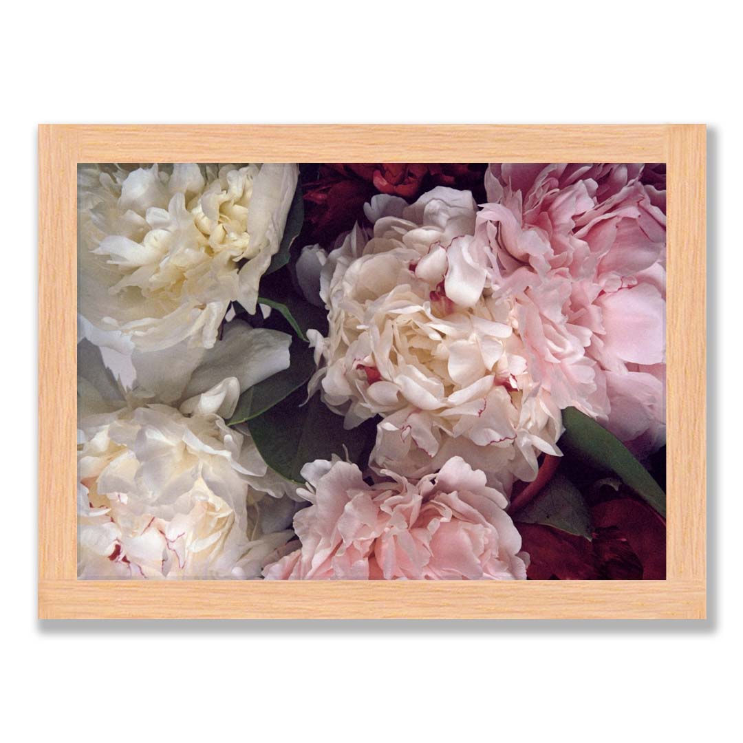 Peony Print One