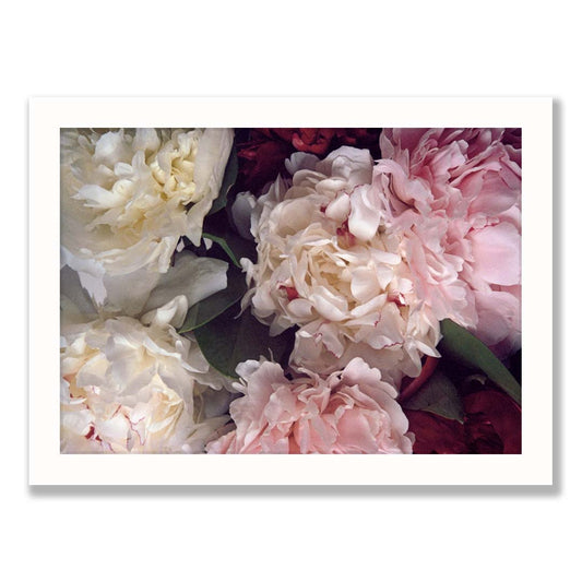 Peony Print One